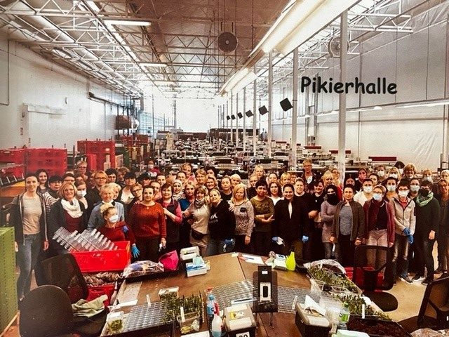 pikierhalle